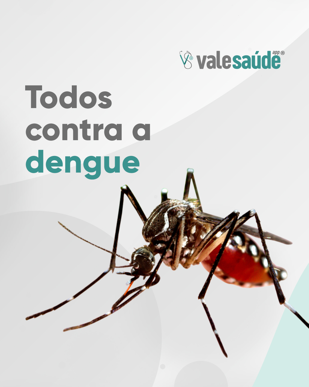 Todos Contra o Mosquito da Dengue